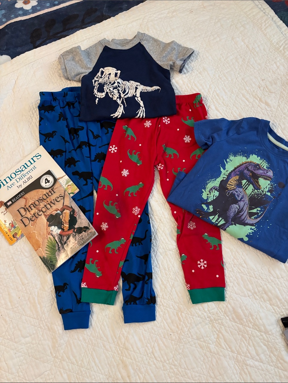 Dinosaur Fans. Pajama bottoms,T-shirts and books - Red & Blue